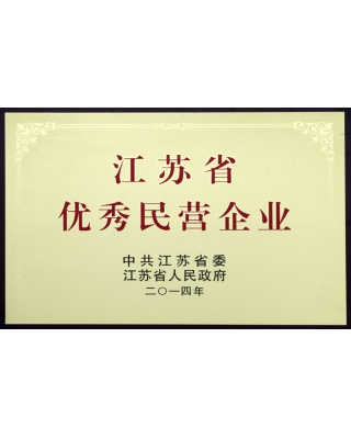 江苏省优秀民营企业